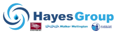 Sponsor logo